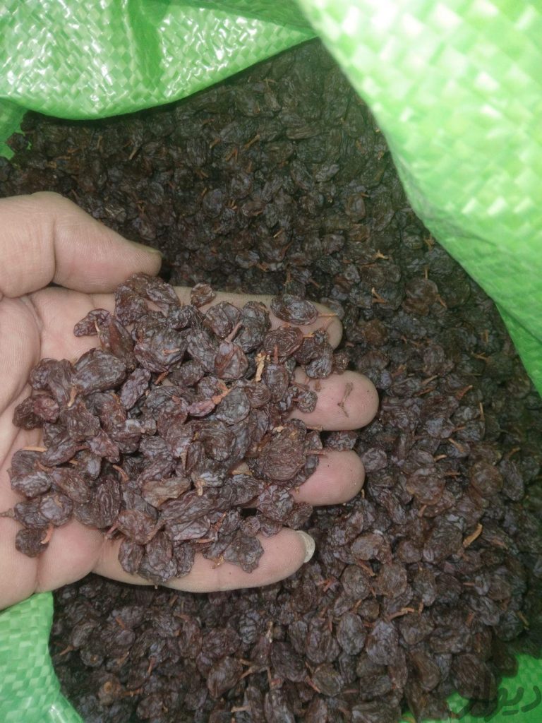 پخش کشمش بیدانه آفتابی تاکستان