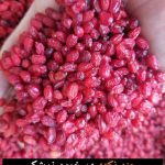 خشکبار البالو زرشک کشمش پلویی آلو و….