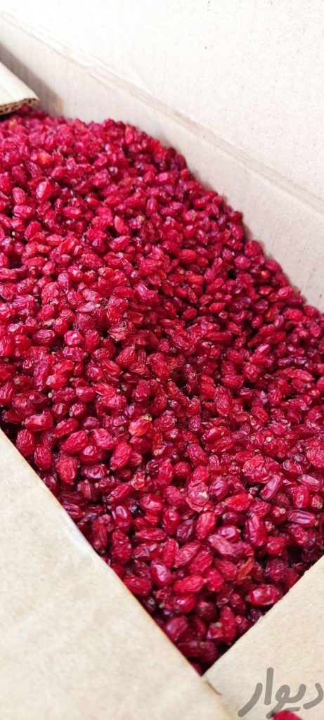 زرشک پفکی زرشک معمولی زرشک دانه اناری