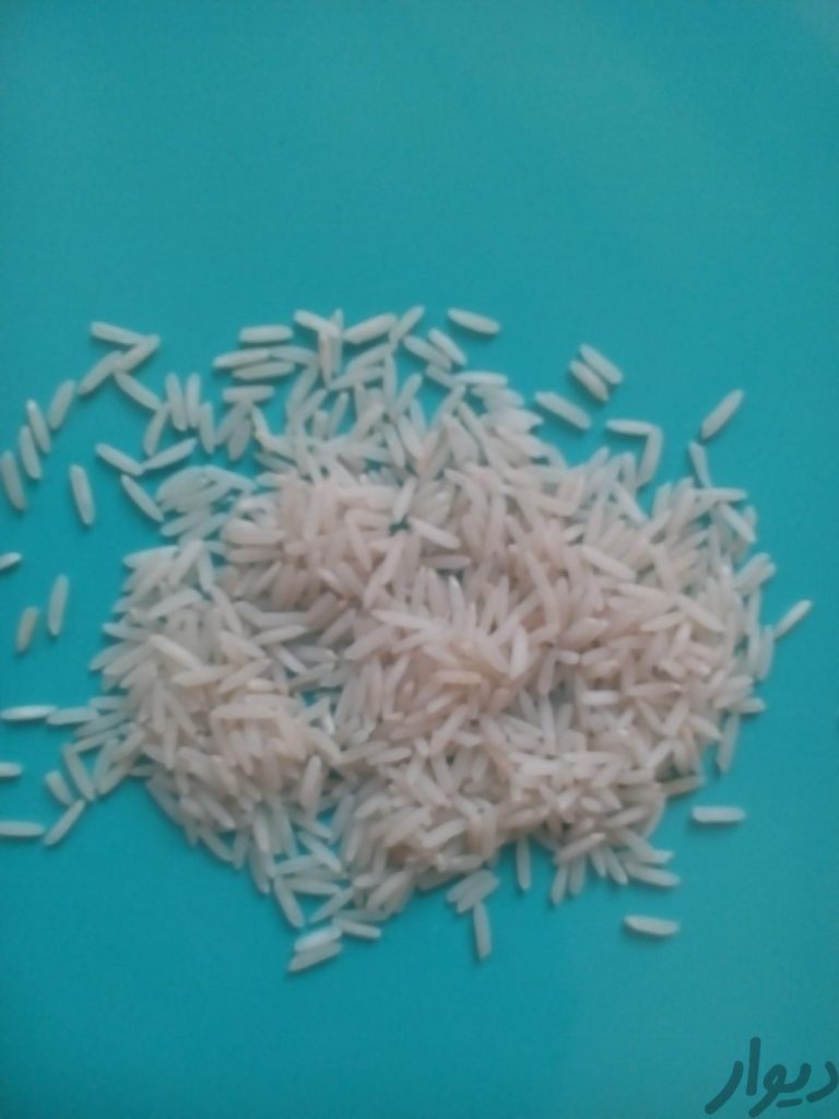 فروش عمده و خرد برنج هاشمی مازندران