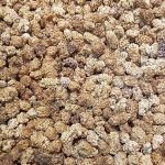 عمده فروشی کشمش و مویز افتابی و توت خشک