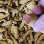 زرشک کشمش و زردچوبه خراسان در تهران