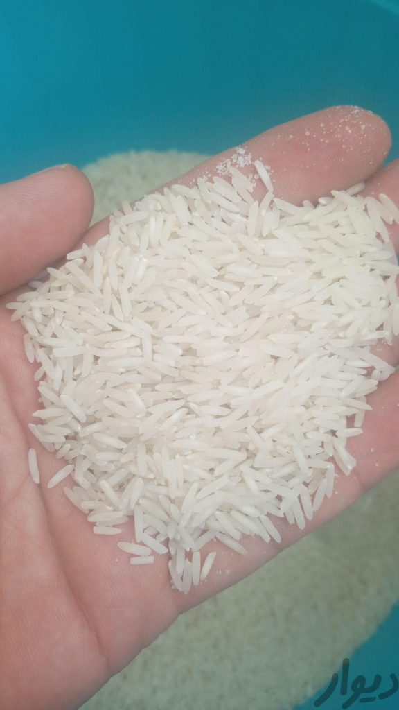 برنج استخوانی هاشمی به شرط پخت