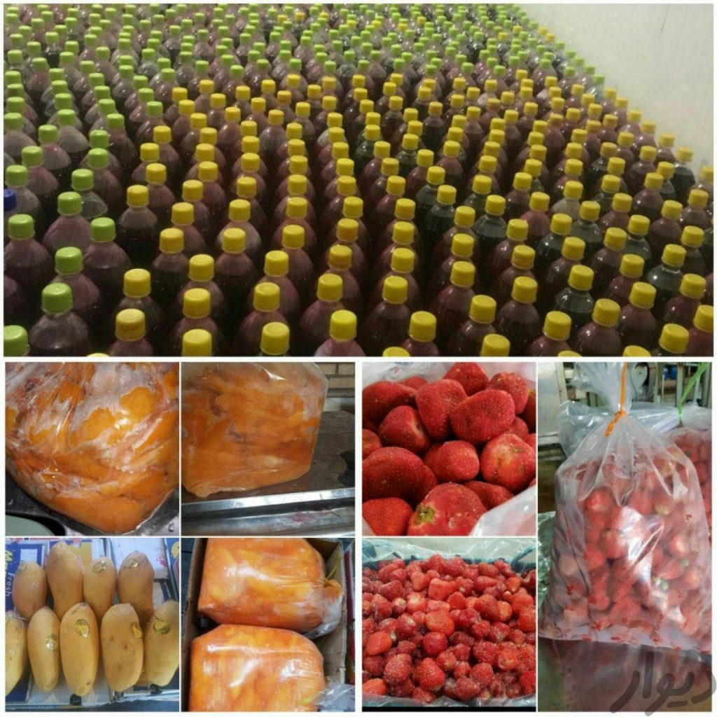 انبه البالو زرشک زغال اخته انار شاتوت تمشک جنگلی