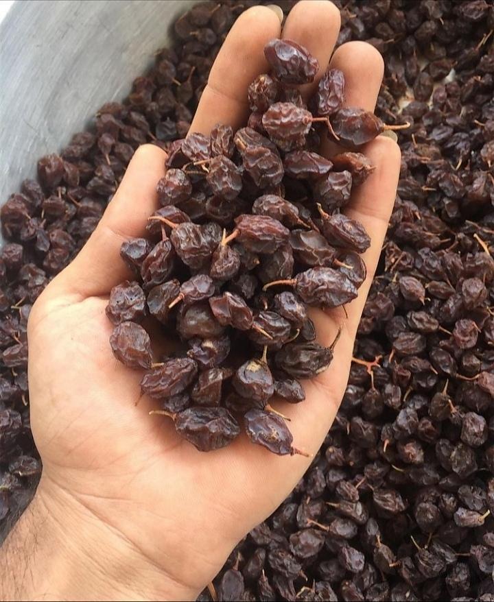 کشمش بیدانه آفتابی تاکستان ومویز شیراز