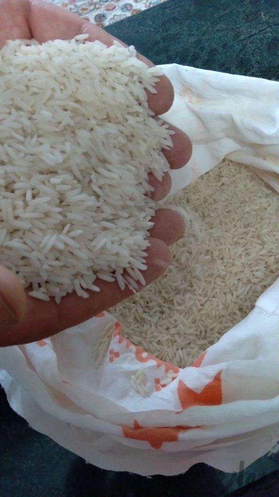 فروش برنج هاشمی گیلان تالش