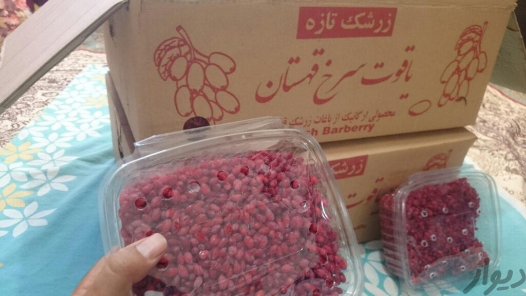 زرشک تازه،یاقوت سرخ قهستان