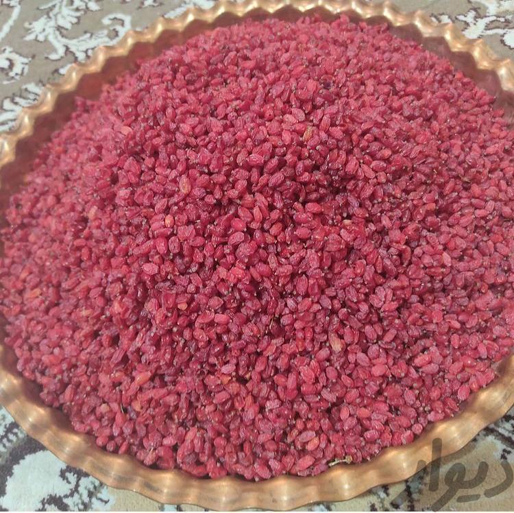 زرشک قائنات