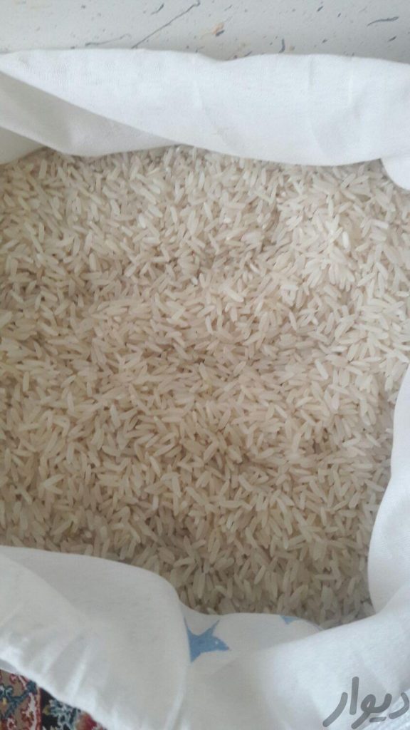 برنج هاشمی گیلان