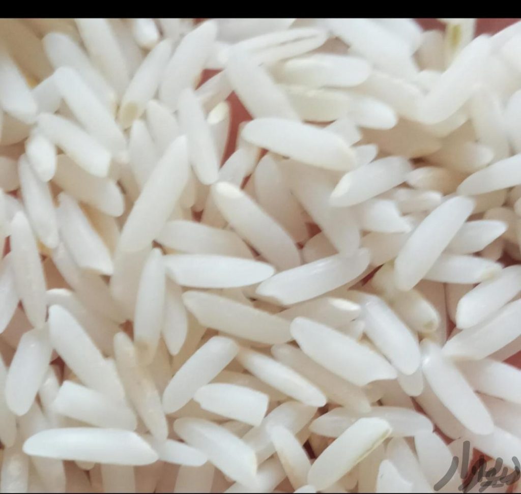 برنج طارم هاشمی نو۵۰کیلو