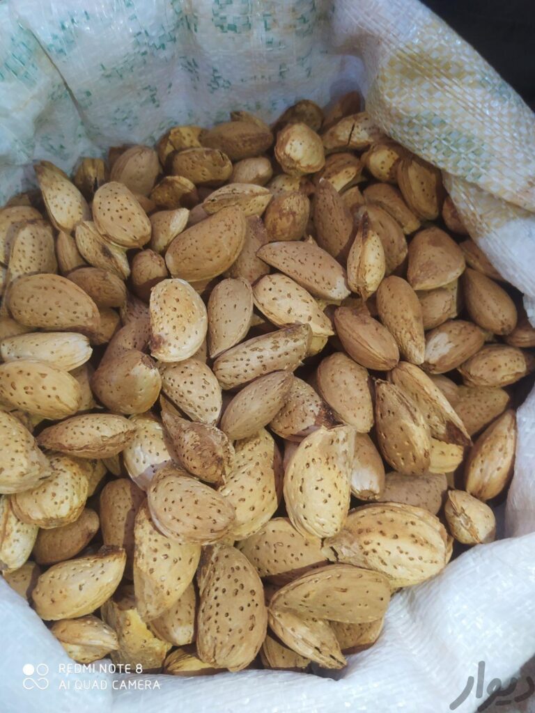 فروش بادام درختی تازه