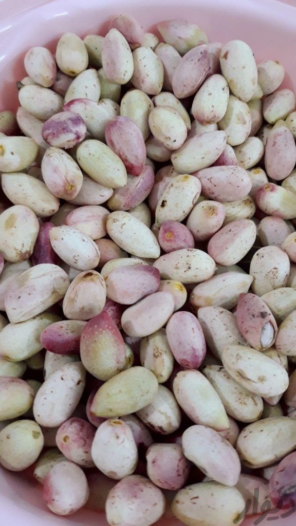 پسته دامغان