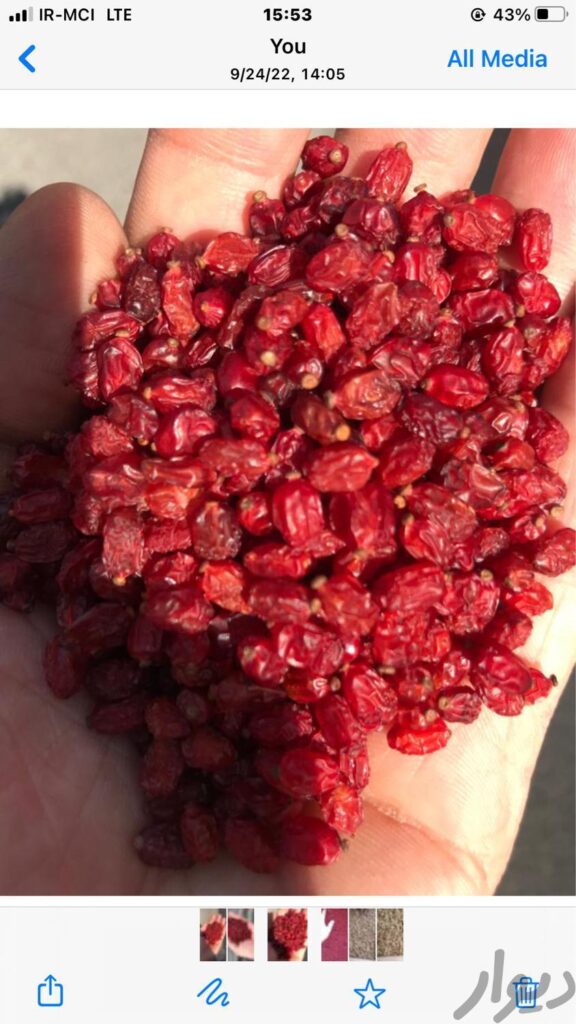 زرشک پفکی امسال۱۲۰۰۰۰تومان