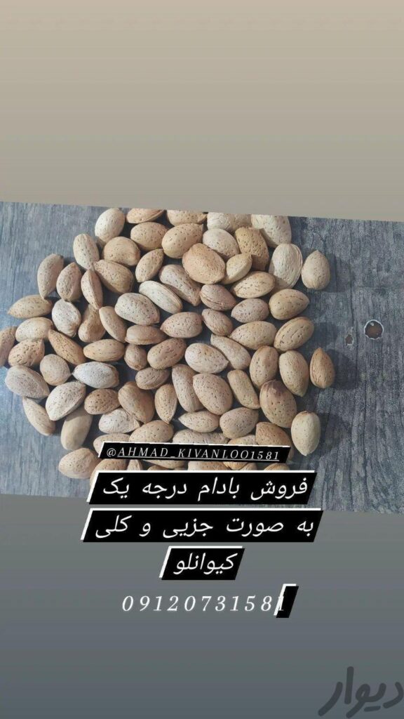 فروش بادام درختی محصول سال