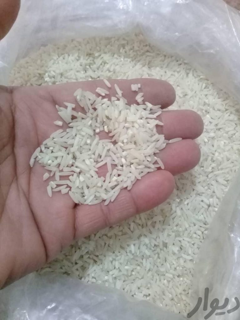 برنج سرلاشه هاشمی