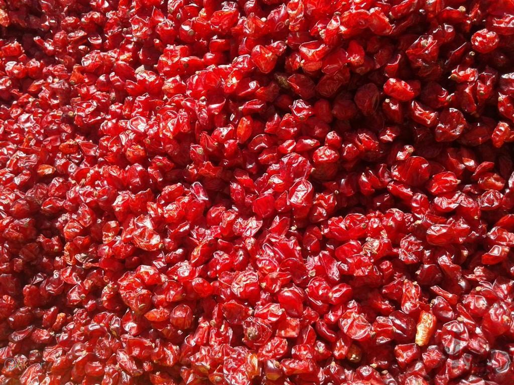 فروش عمده زرشک و زعفران و عناب قائنات