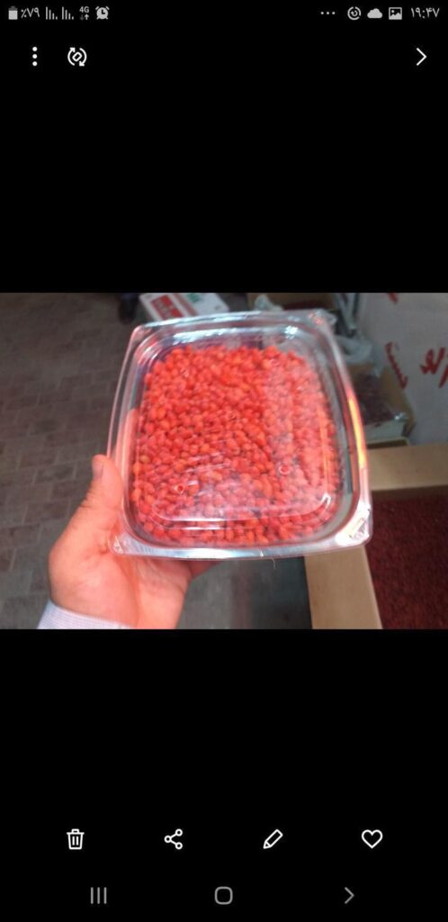 زرشک تازه شاخه و دانه