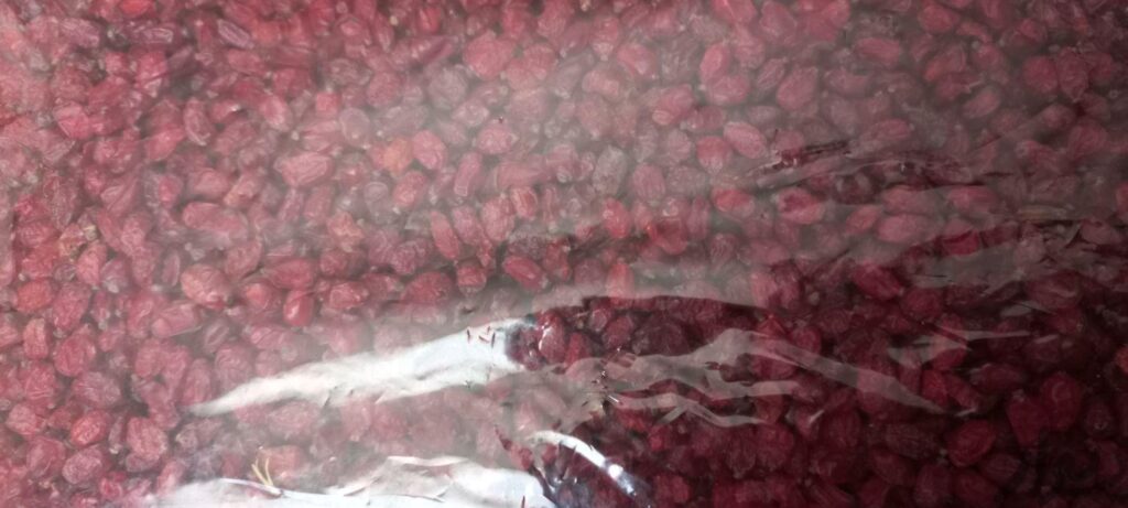 زرشک پفکی وعناب درشت بیرجند