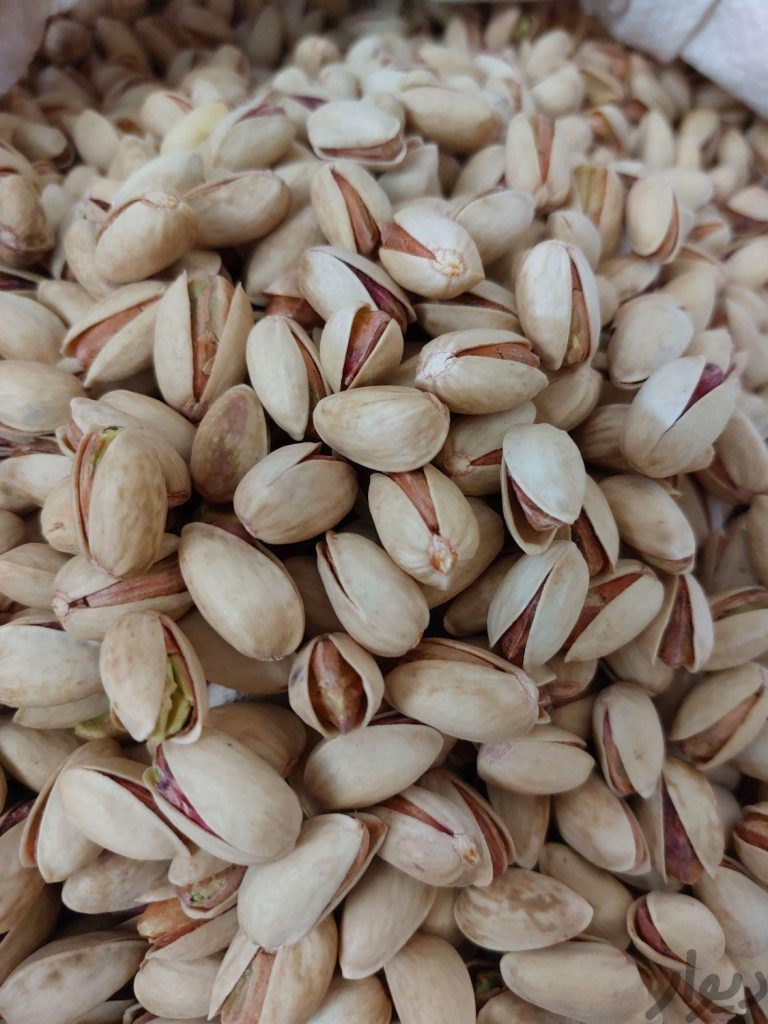 فروش انواع پسته به صورت عمده