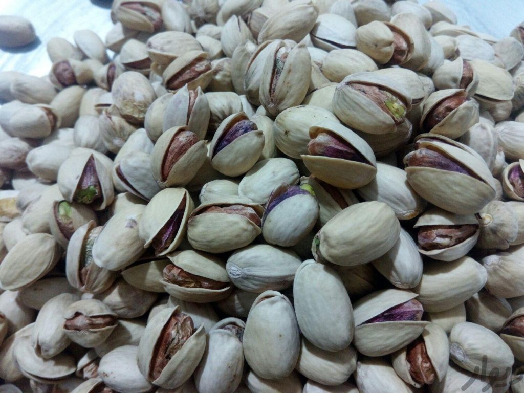 پسته تازه امسال پسته کله قوچی پسته خندان