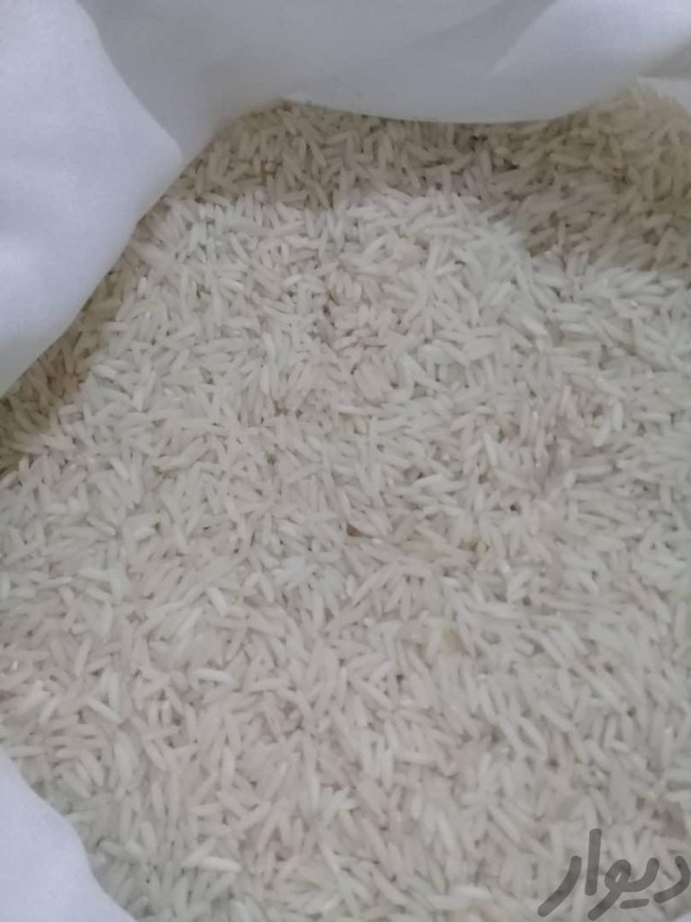 برنج هاشمی گیلان