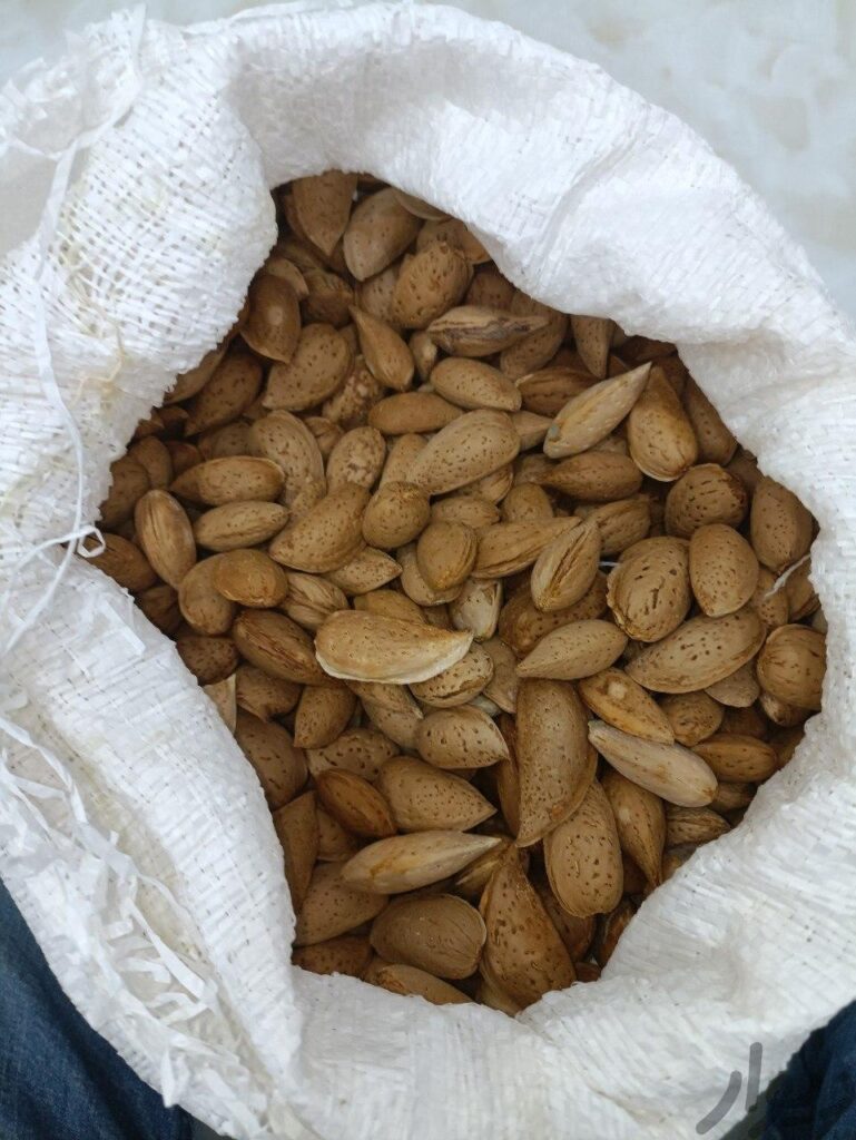 بادام درختی