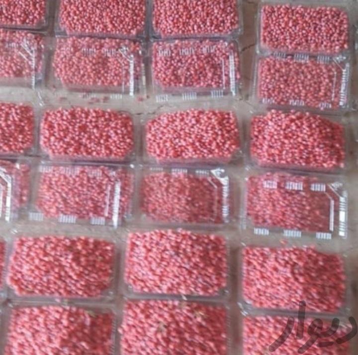 زرشک دان شده تازه