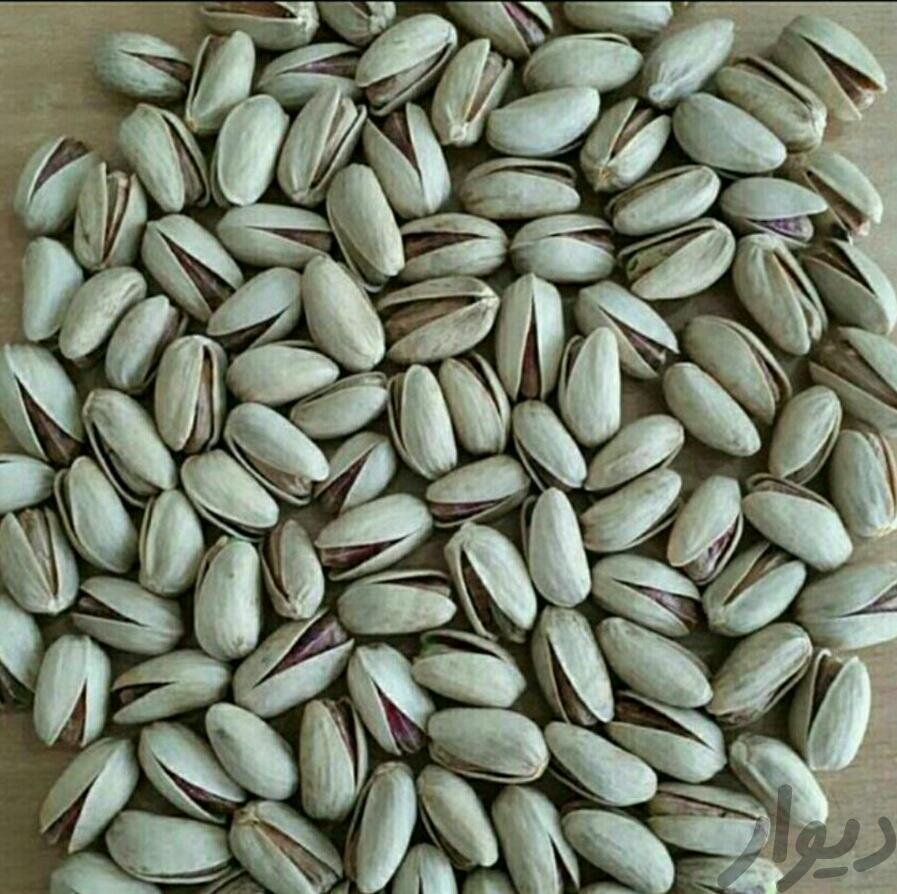 فروش مستقیم پسته رفسنجان