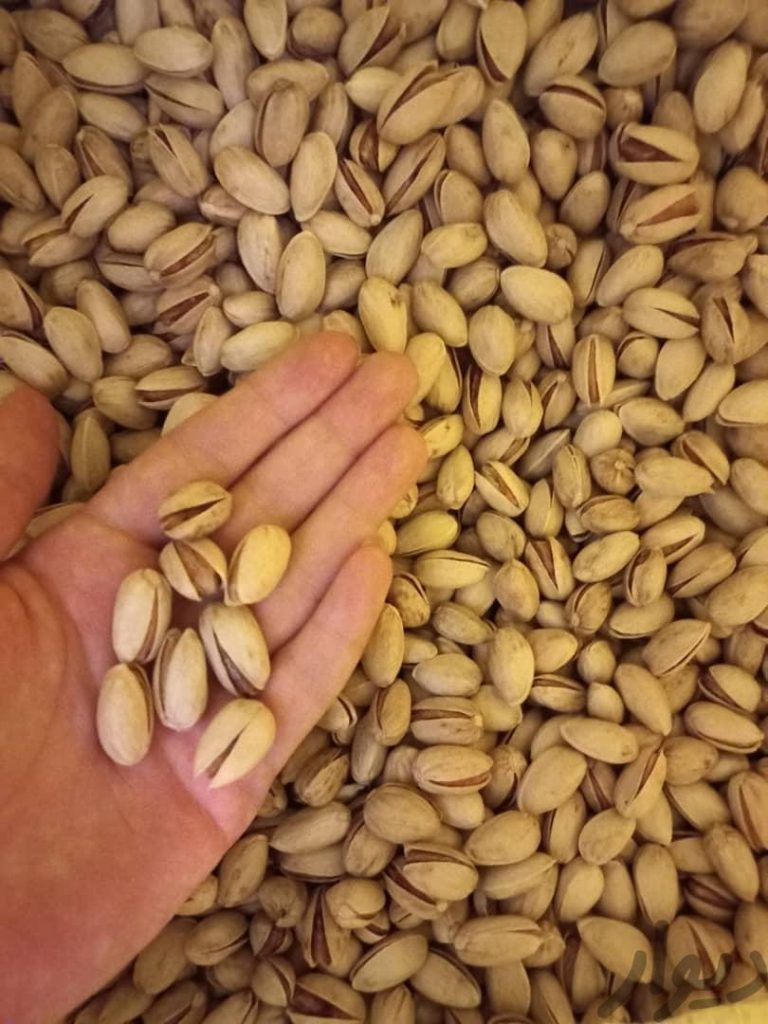 پسته مرغوب مشهد