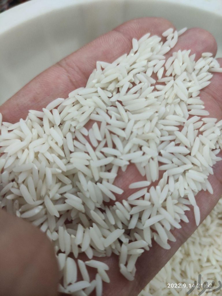 برنج هاشمی خوشپخت و خوش عطر محصول گیلان