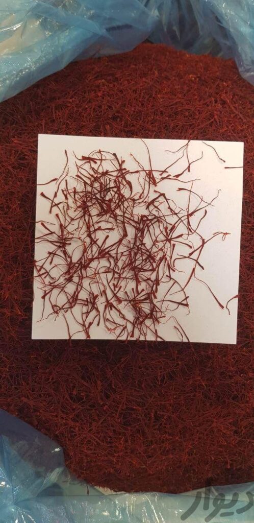 زعفران سرگل و نرمه کلی