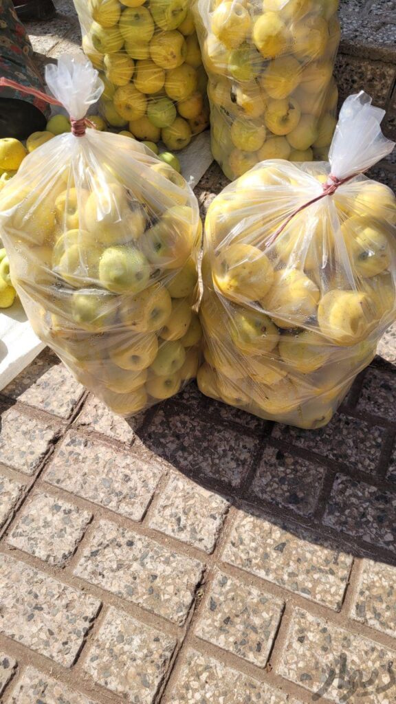 سیب درجه یک