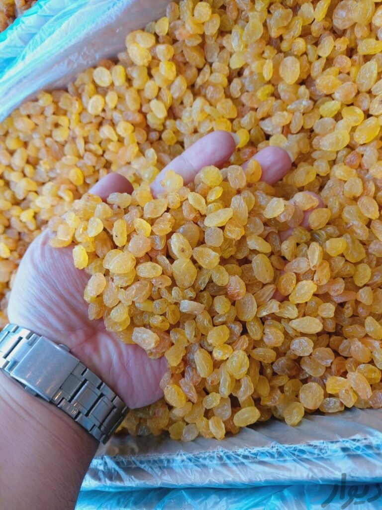 بورس کشمش آذربایجان در استان