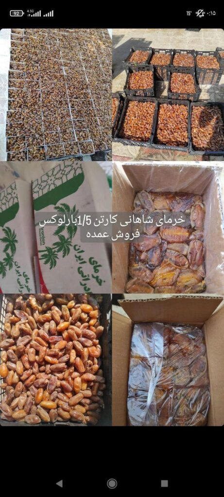 خرمای شاهانی خفر کیفیت تضمینی