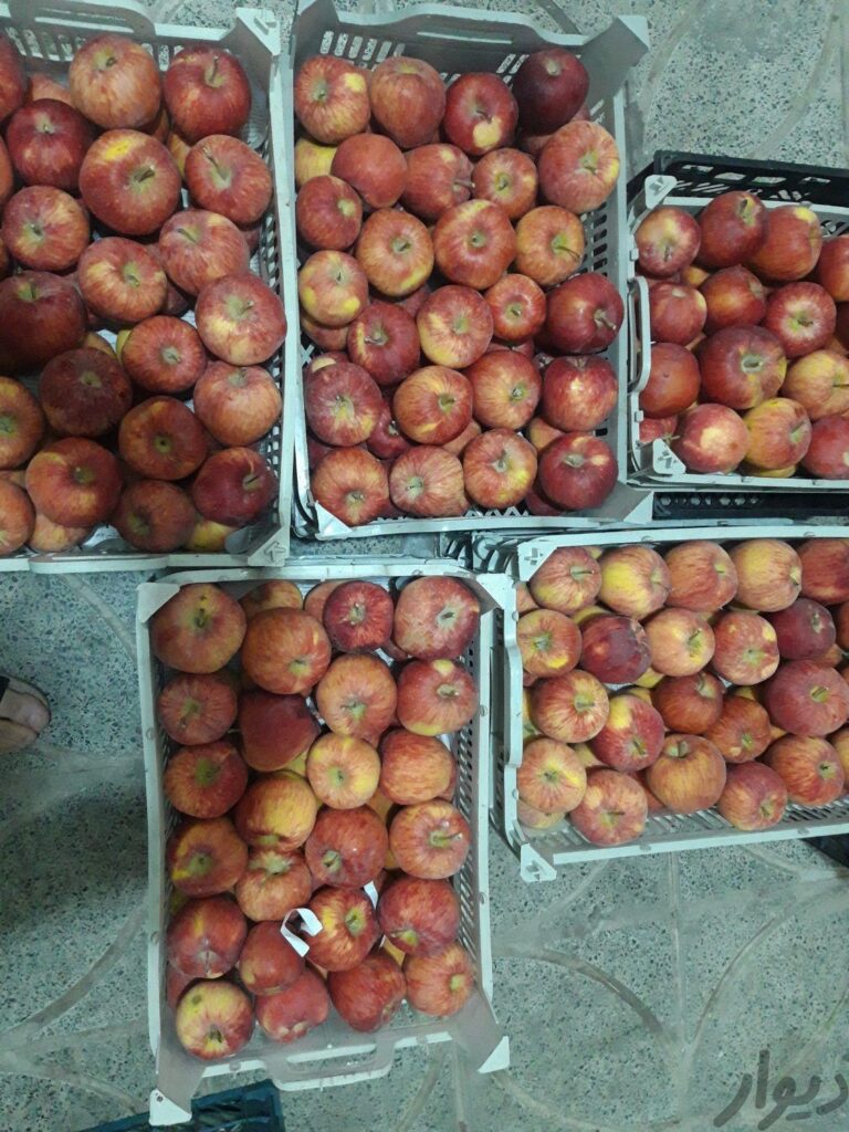 سیب درجه یک