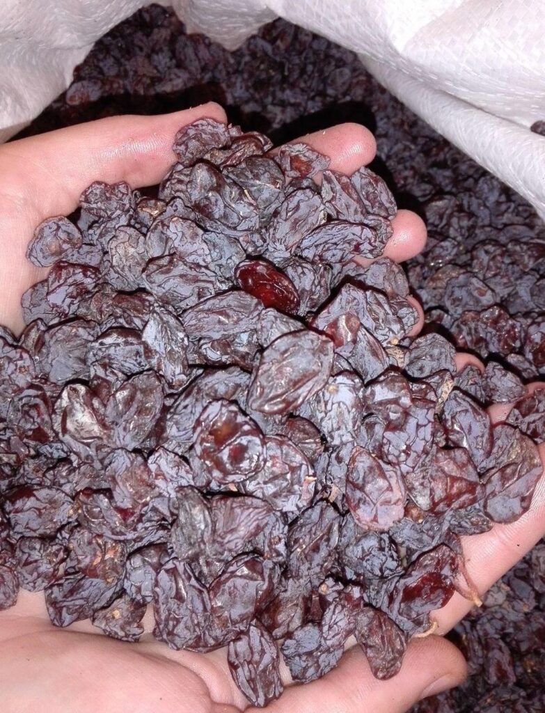 مویز کشمش شیره انگور بش شهددار