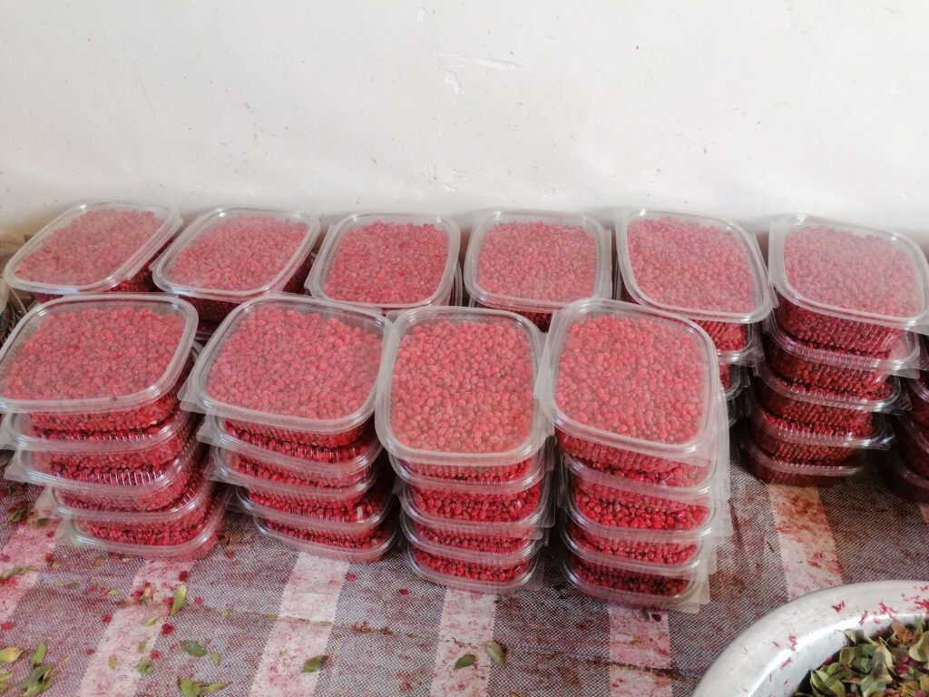 زرشک و آب زرشک تازه