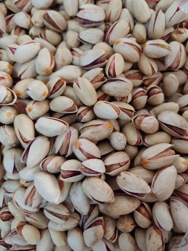 پسته مه ولات