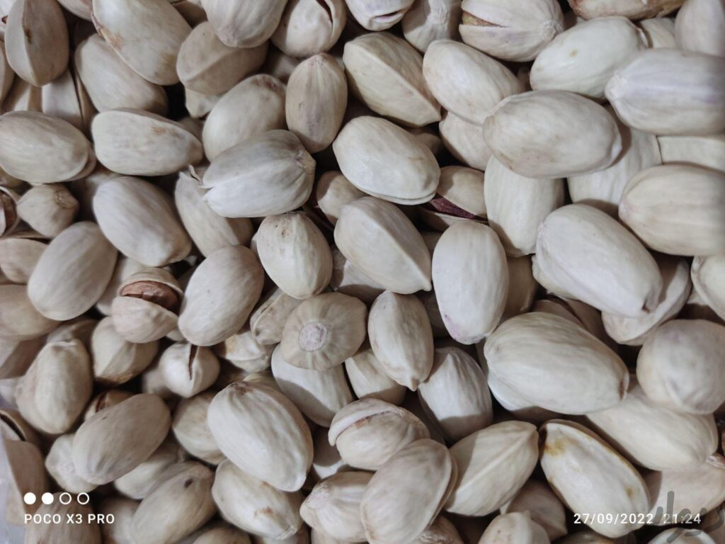 فروش پسته فندقی و اکبری