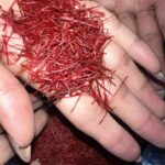 فروش زعفران و هل و زرشک