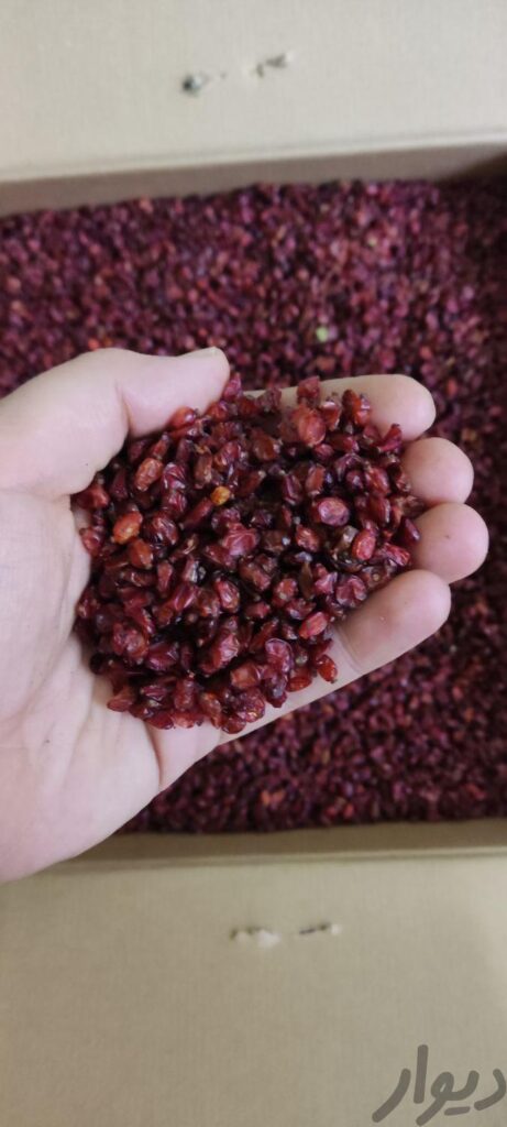 زرشک اناری و لواشکی مناسب رستوران و آبگیری