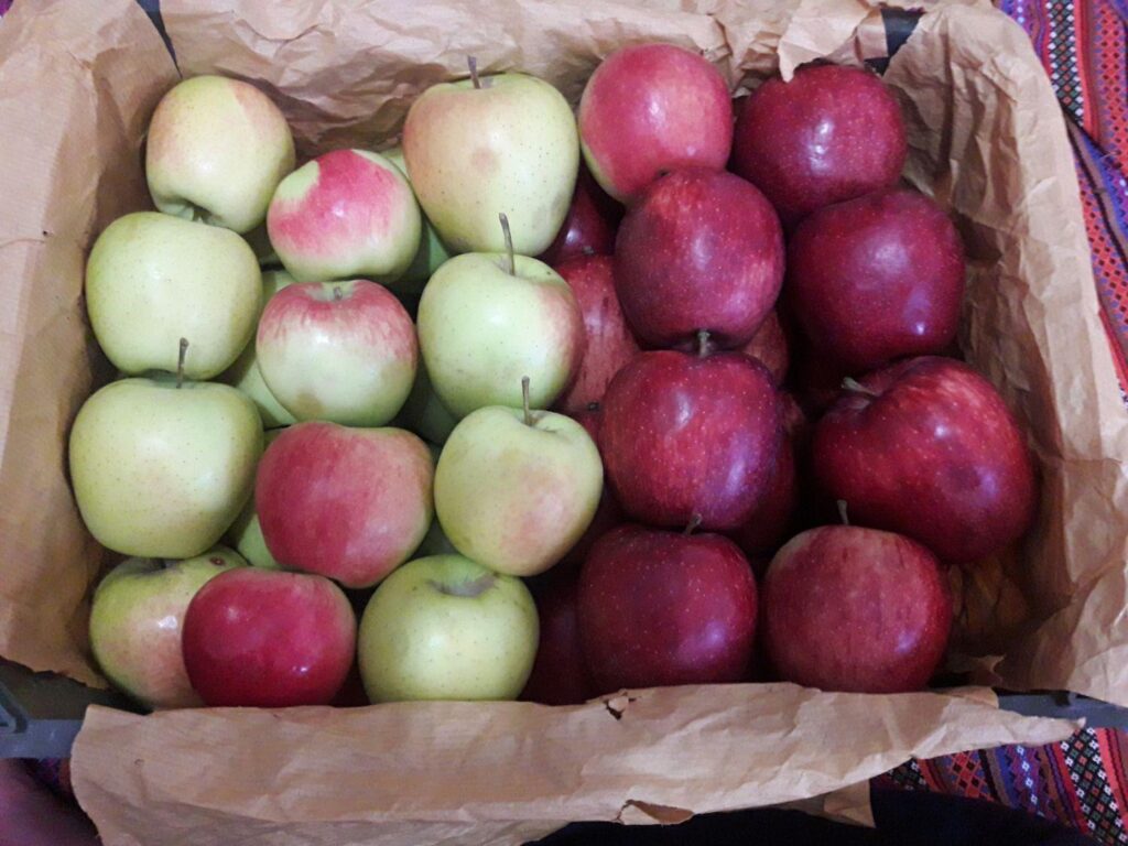 فروش سیب مراغه به صورت عمده
