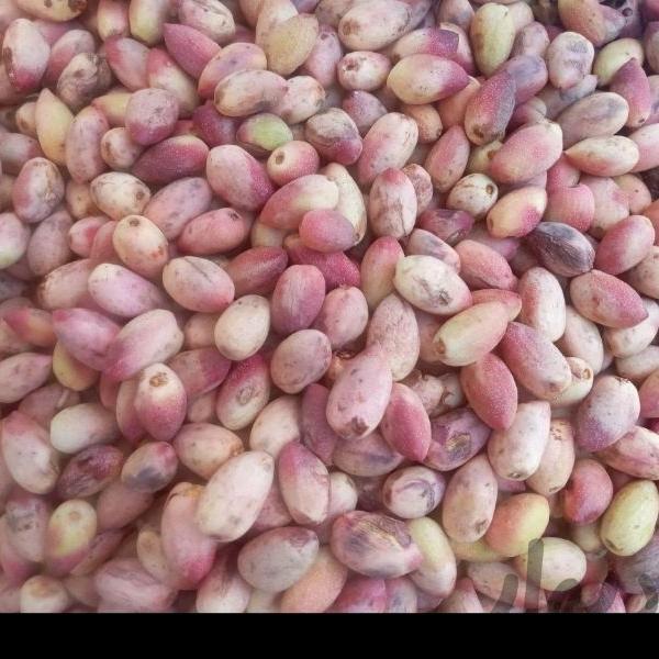 پسته درجه یک