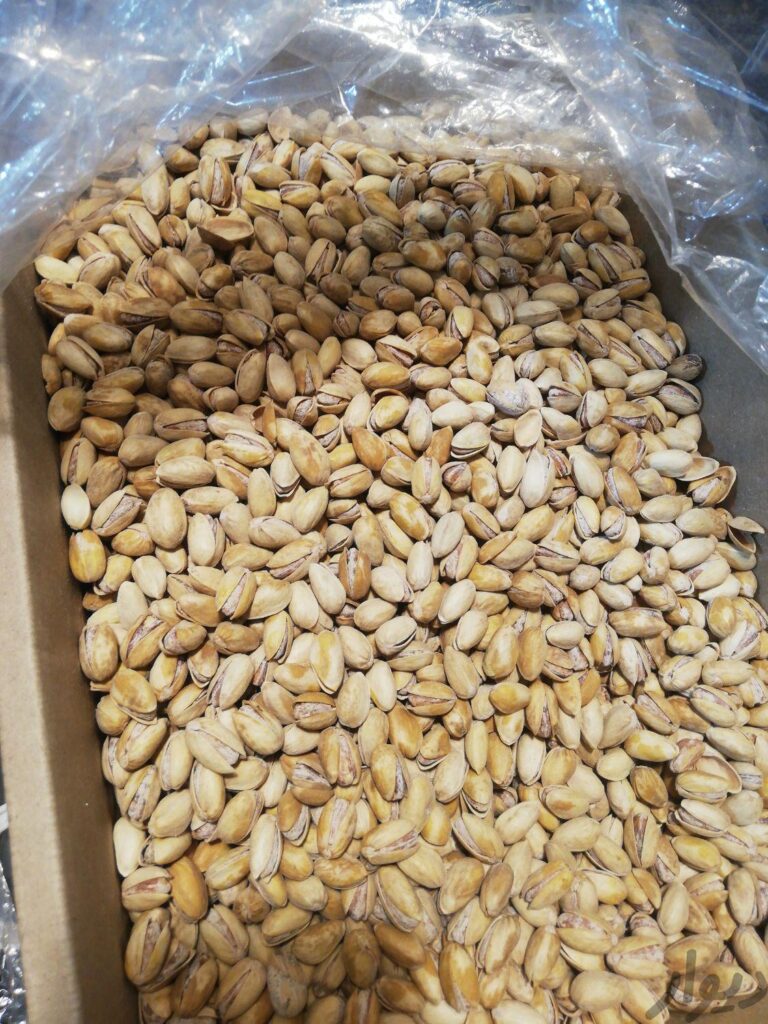 پسته خشک شورشده