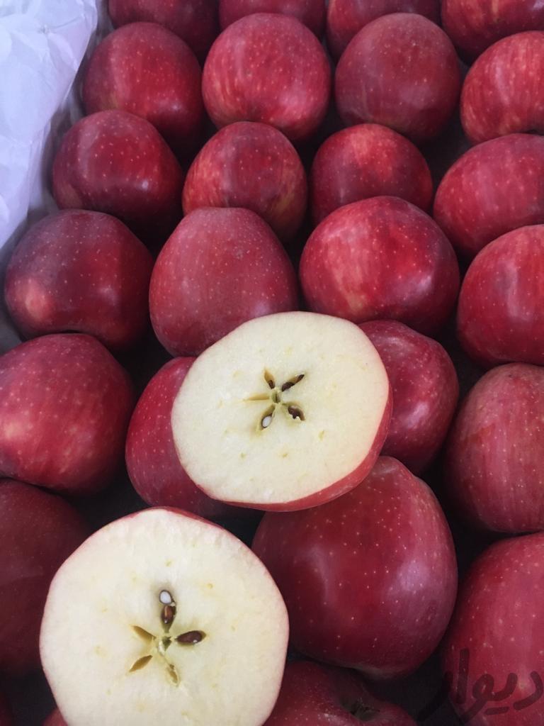 سیب سوپر قرمز لبنانی