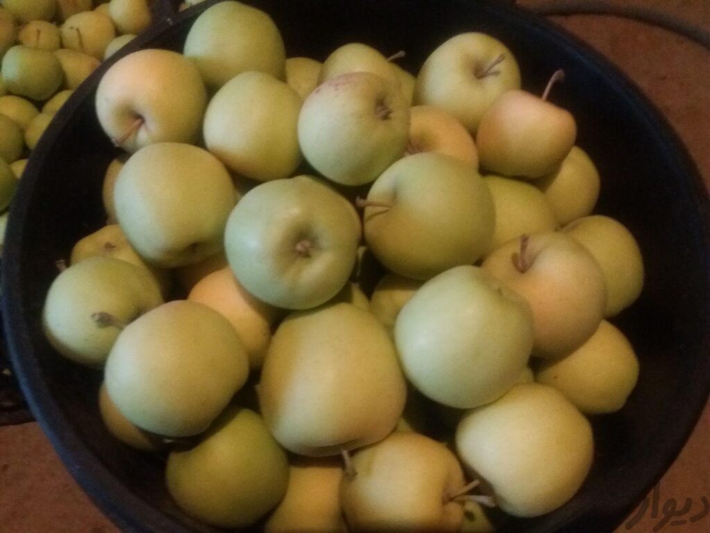 سیب برای خوردن مربا سرکه