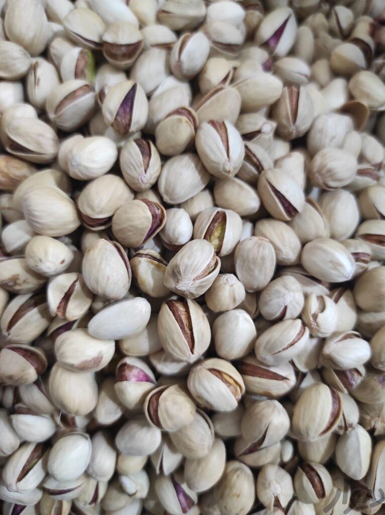 پسته و صد درصد خندان فندقی و کله قوچی