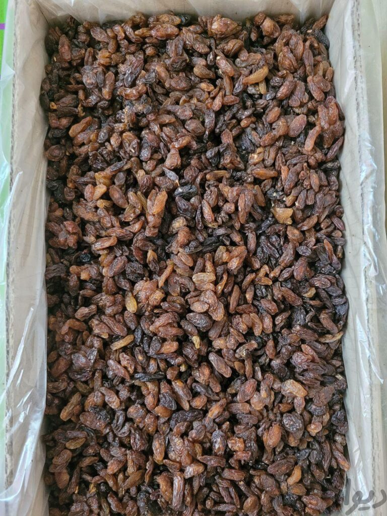 کشمش افتابی محمدکاشمری