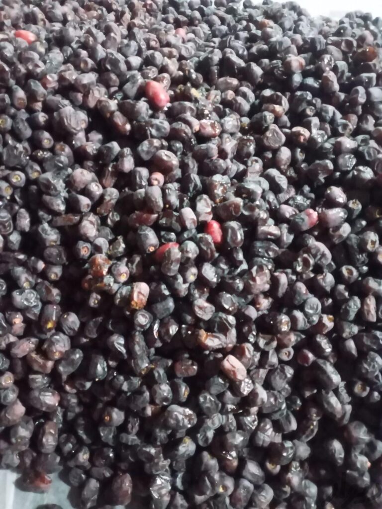 خرما مضافتی ۲ کیلویی