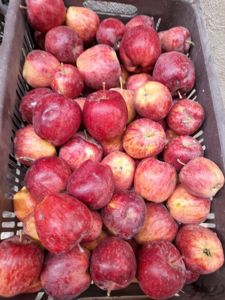 سیب لبنانی قرمز(۶۰۰۰هزار)